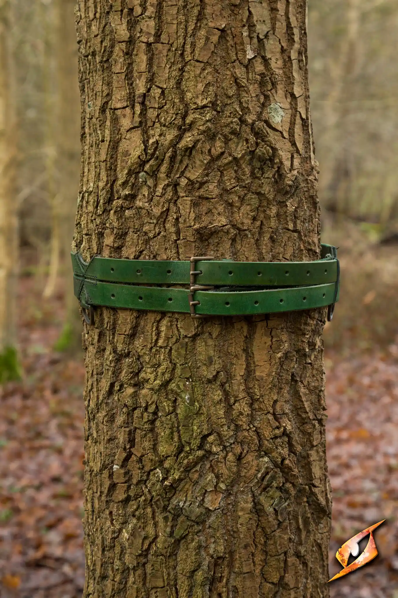 Twin Belt - Image 19