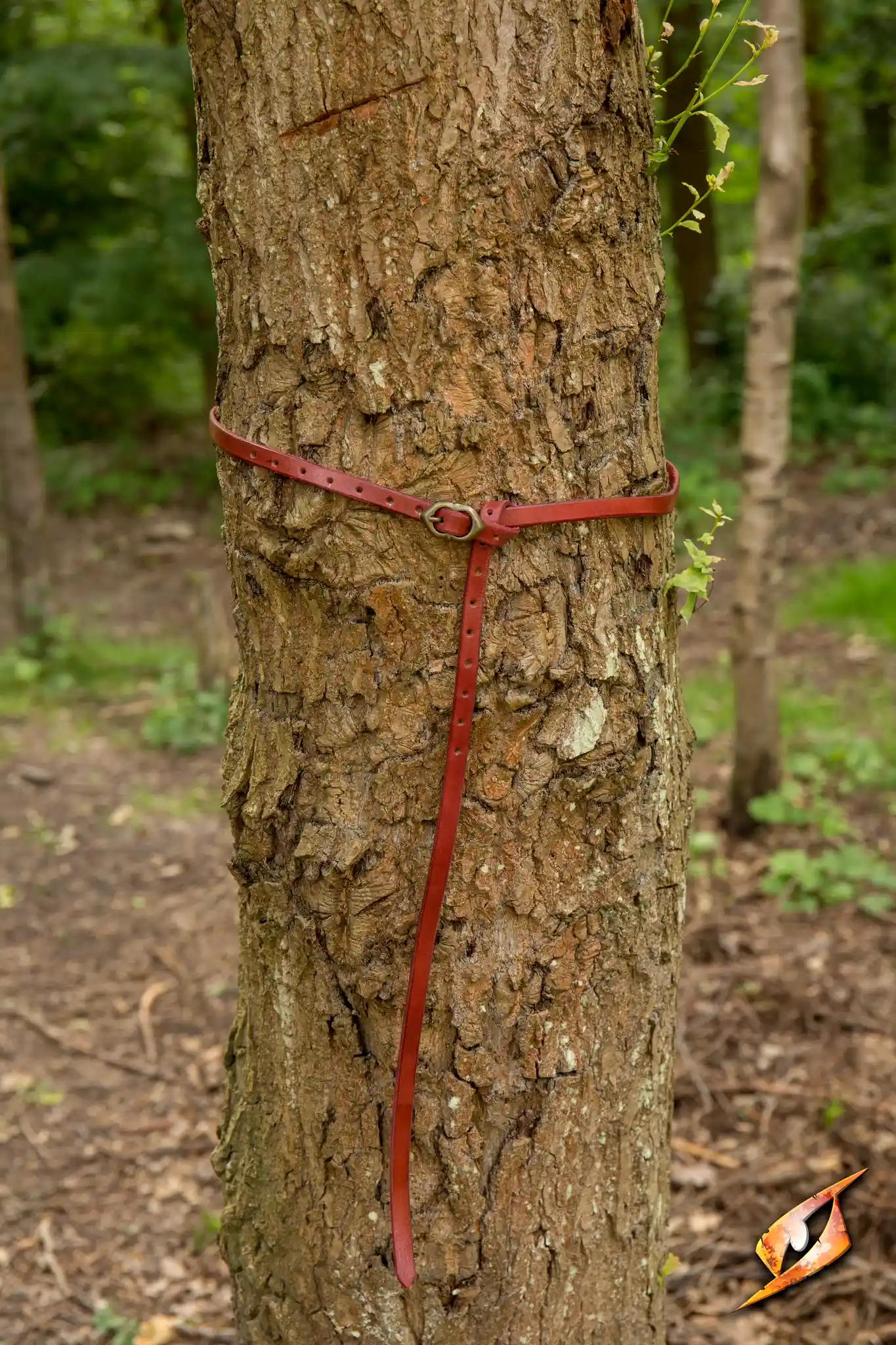 Belt Godfrey - Image 21