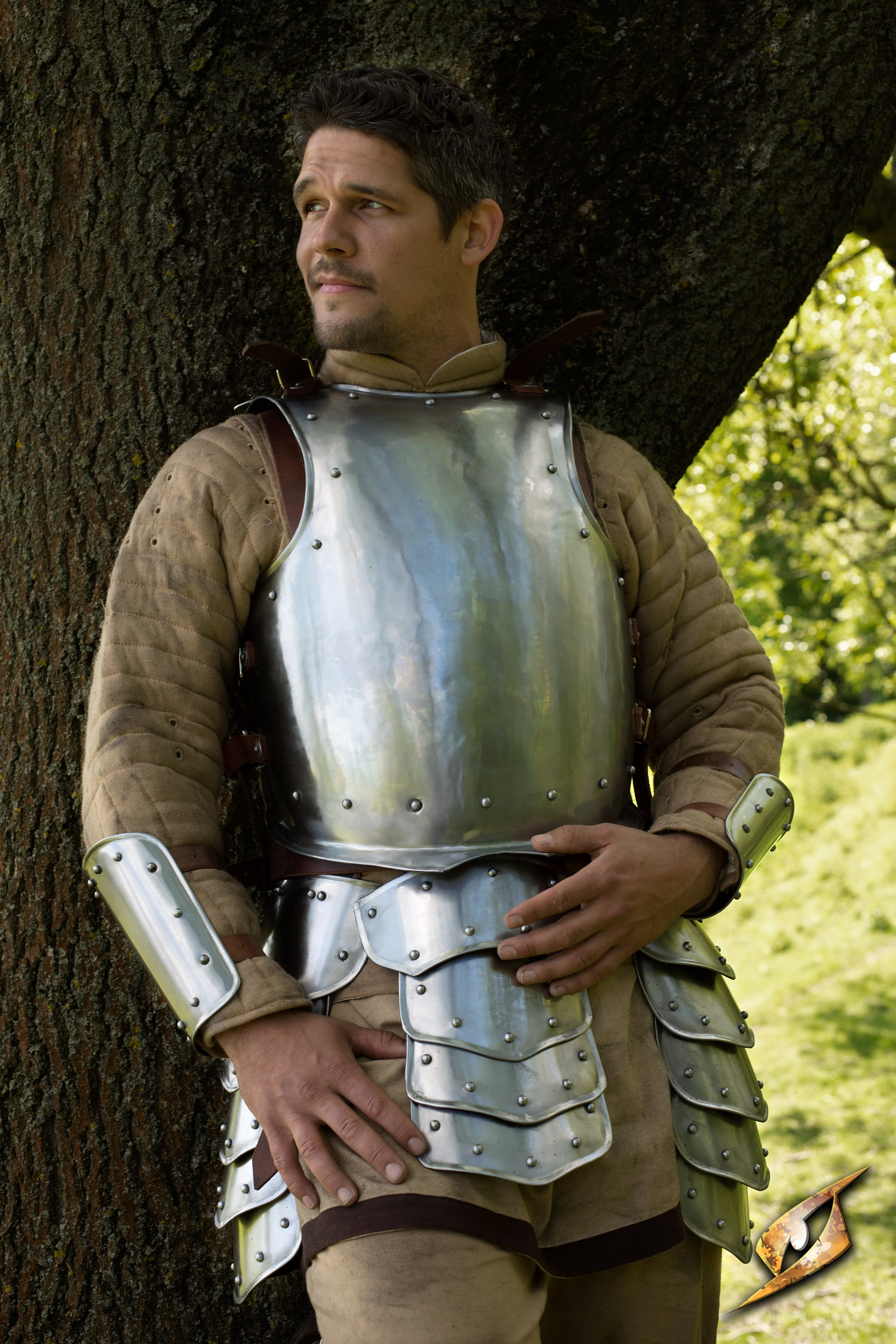 Breast Plate Warrior - Image 8