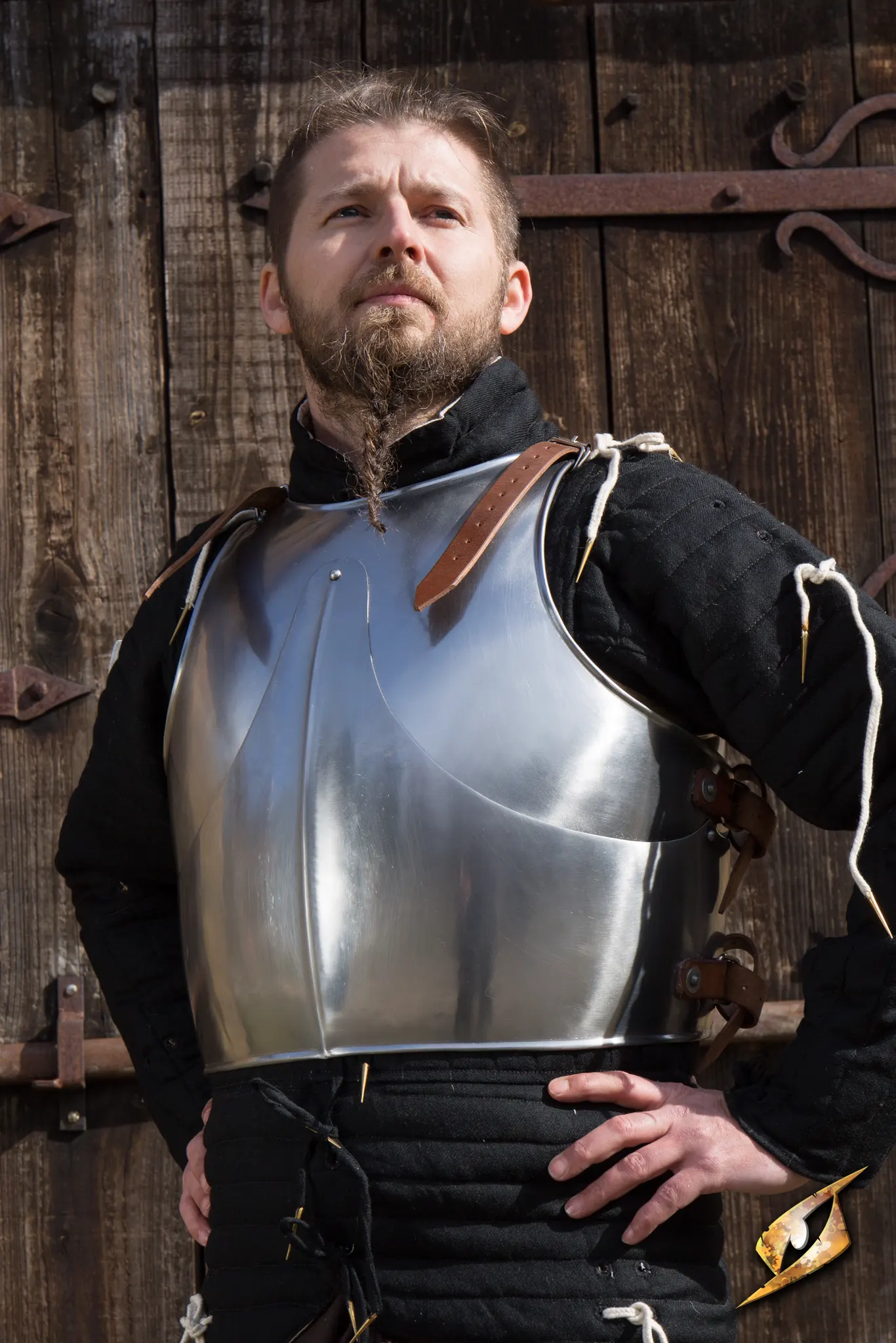 Milanese Armour - Image 3