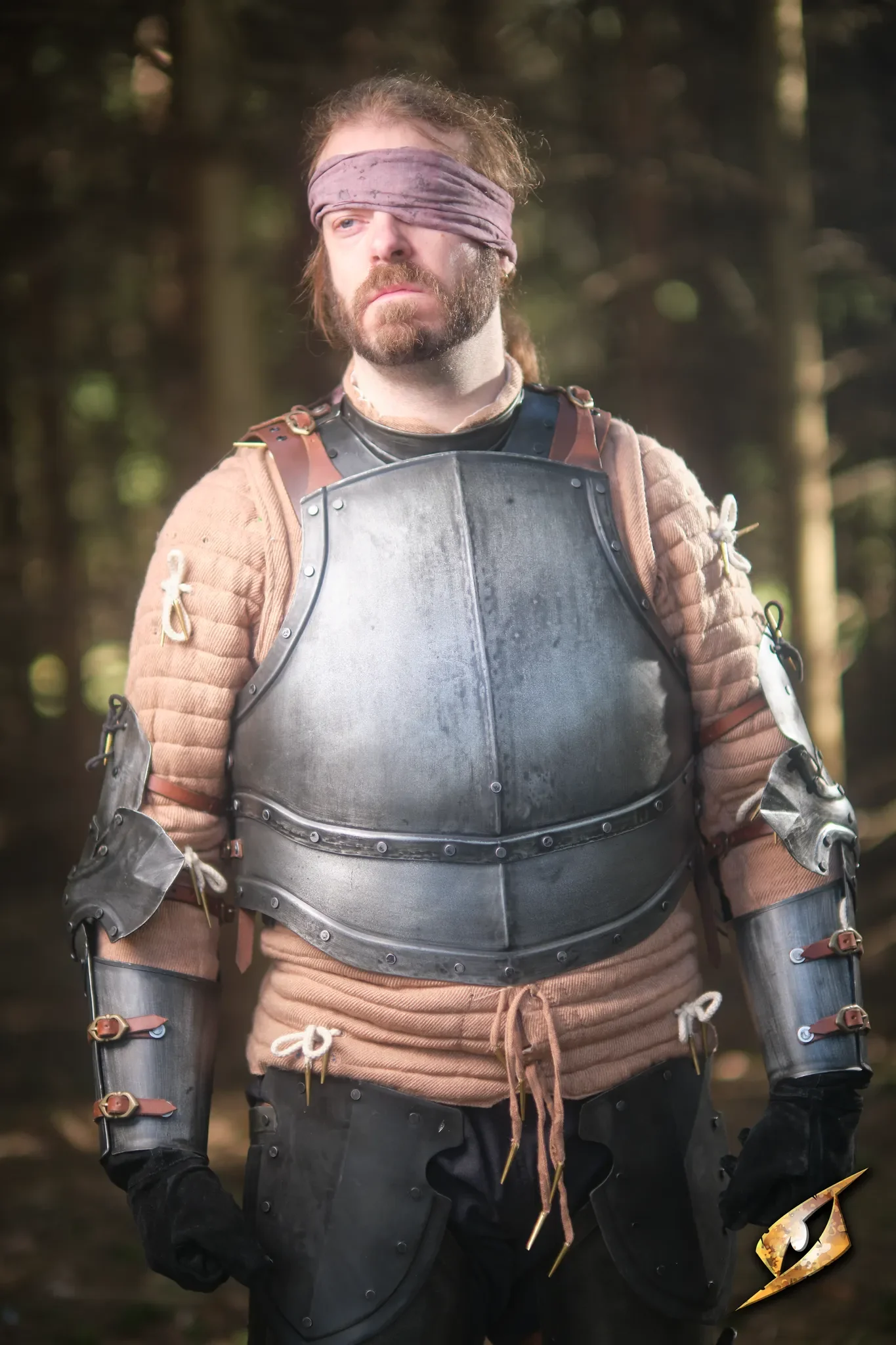 Captain Cuirass - Image 2