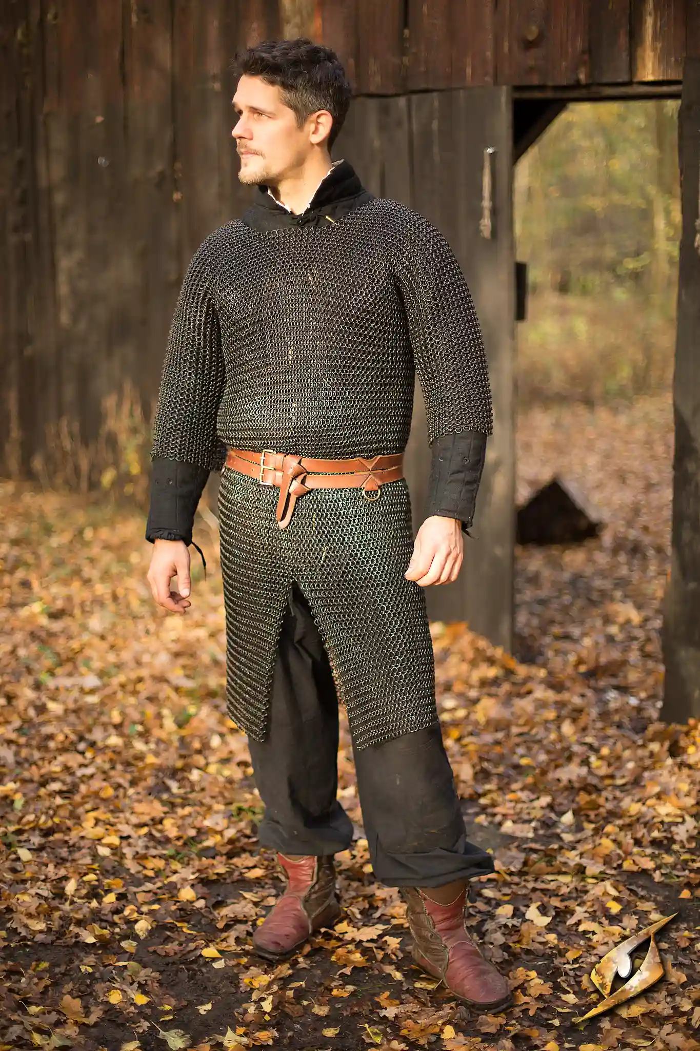 Chainmail - Ragnar - Image 27