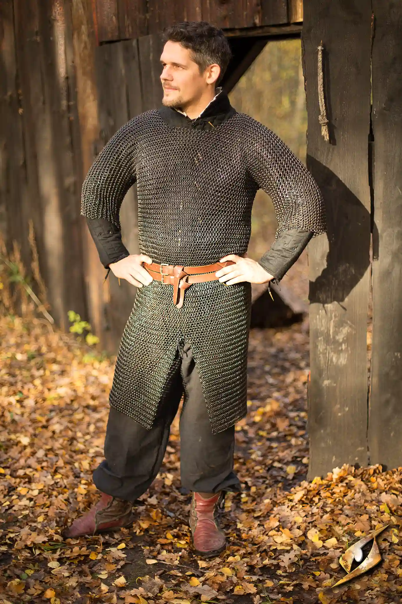 Chainmail - Ragnar - Image 8