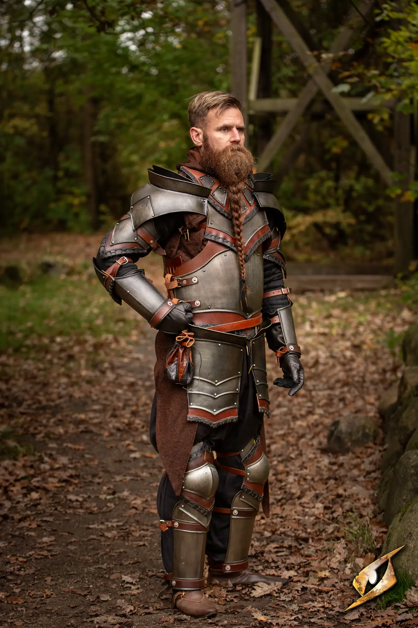 Rogue Complete Armour - Image 4