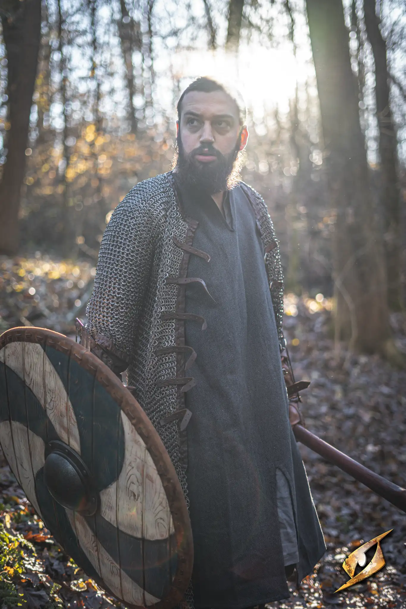 Royal Soldier Chainmail - Image 8