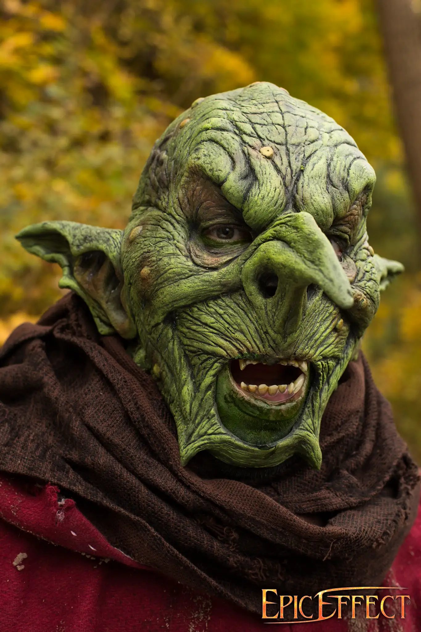 Goblin Overlord - Image 4