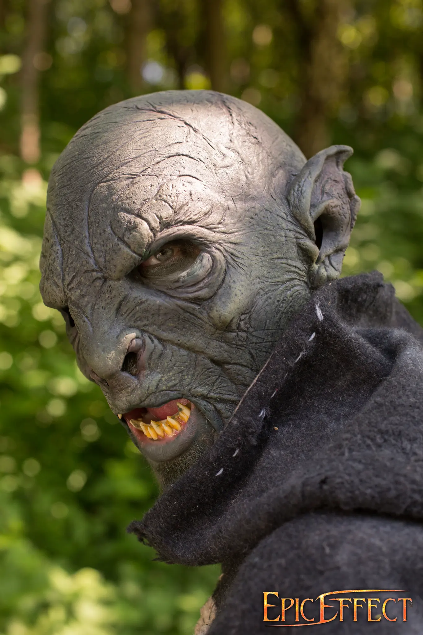 Beastial Orc - Image 10