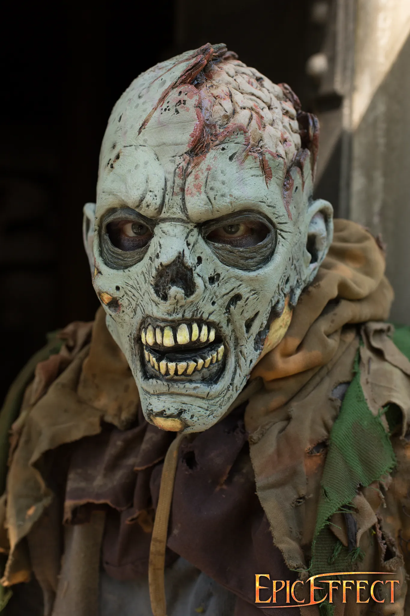 Open Brain Zombie