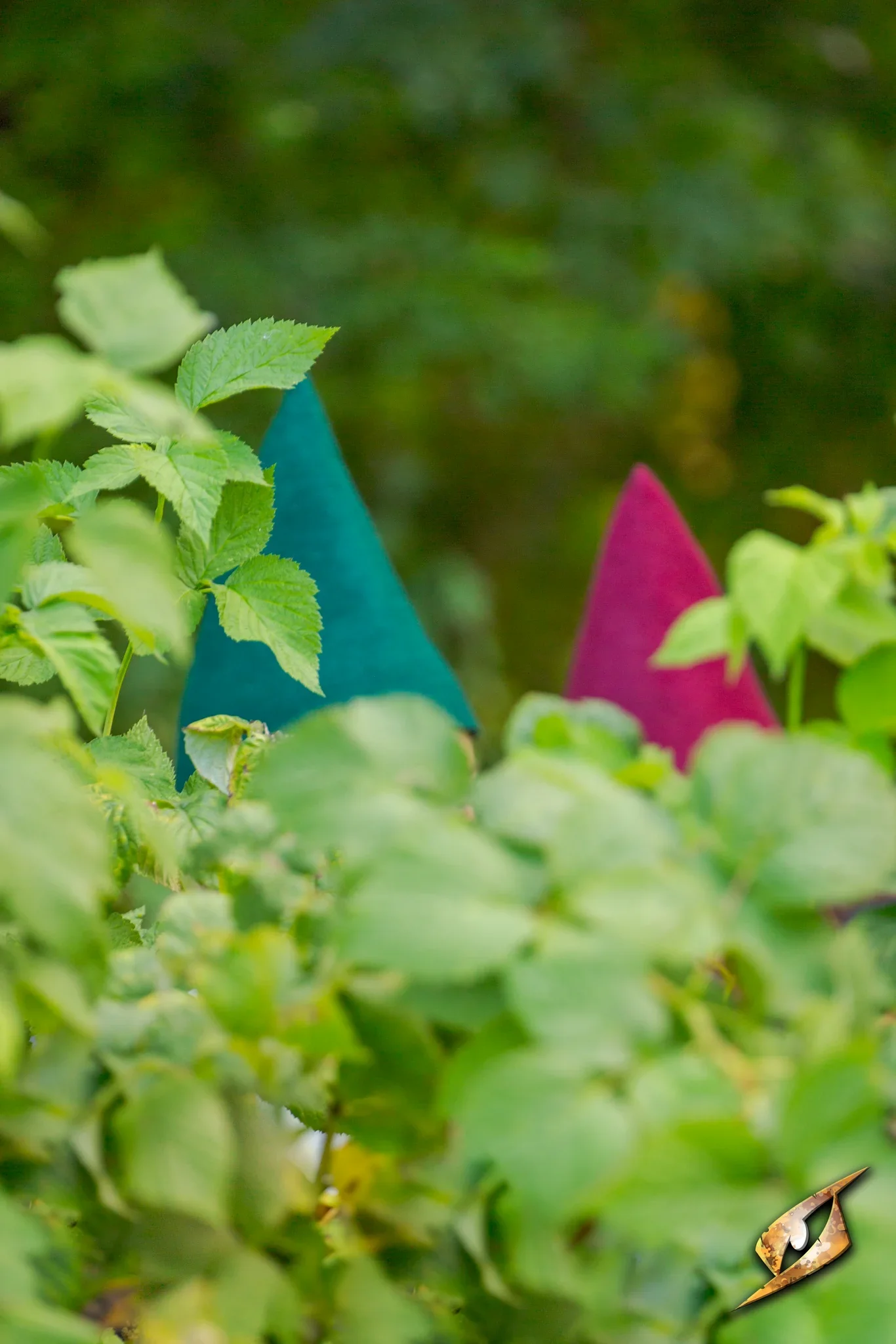 Gnome Hat - Image 5