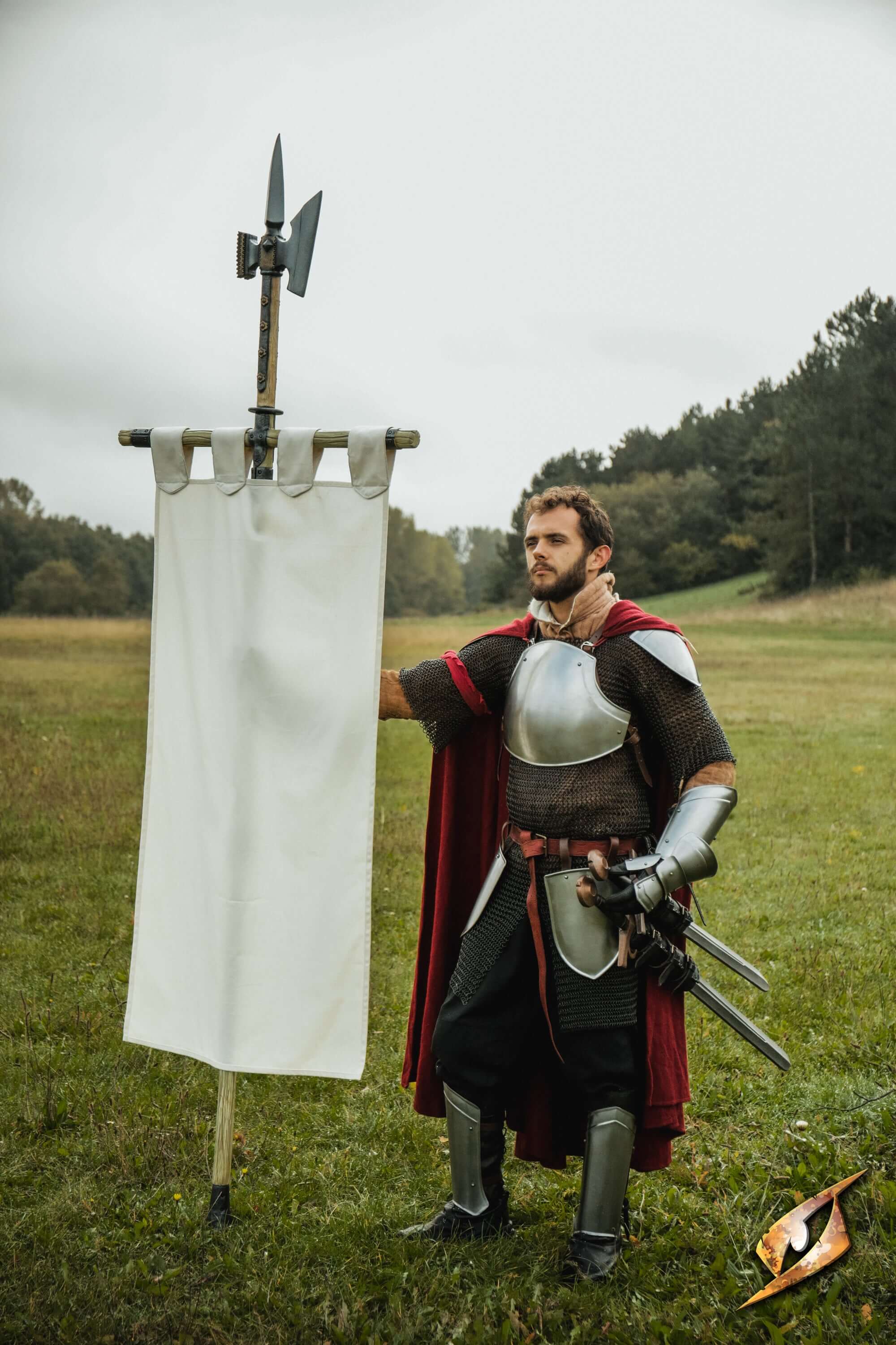 Complete Battle Standard Set - Halberd Top - Image 7